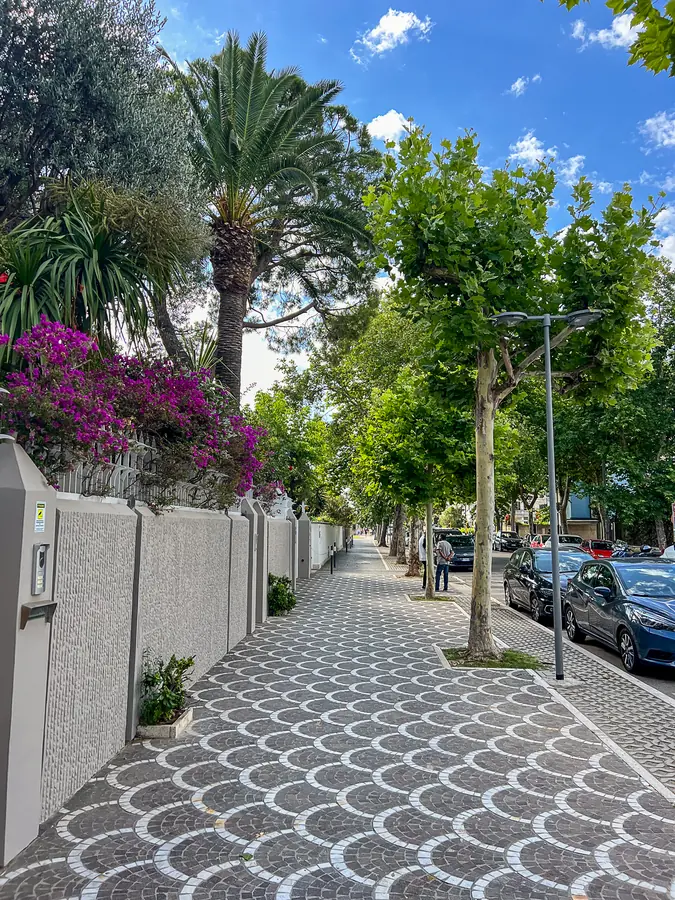 Un viale alberato con il marciapiede a mosaico e una bouganville in fiore